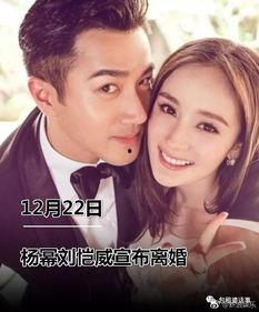 吃瓜娱乐圈离婚,瓜分爱情,揭秘明星婚姻真相