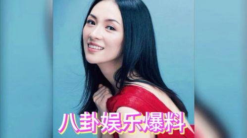 娱乐圈吃瓜爆料综艺,揭秘明星幕后真相与爆笑瞬间