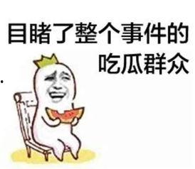 毕竟世上还是坏人多娱乐吃瓜酱