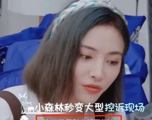 娱乐吃瓜酱雪王,娱乐吃瓜酱的奇幻之旅